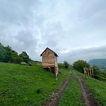 Alereks Mountain Camping Dsegh Ngoại thất bức ảnh