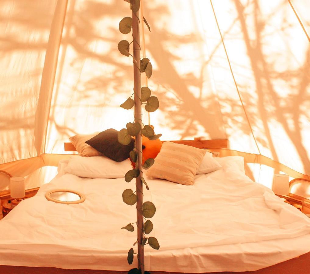 Alereks Mountain Camping Dsegh Ngoại thất bức ảnh