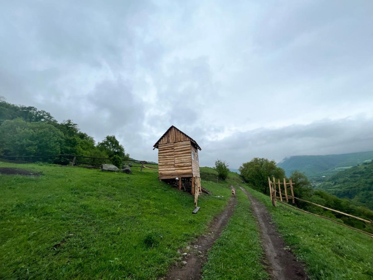Alereks Mountain Camping Dsegh Ngoại thất bức ảnh